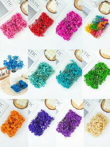 25/50/100/200/300 pièces Fleurs de Gypsophile beige préservées, tiges naturelles de Fleurs de Bébé séchées, Bouquet de mariage sec