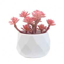一套仿真多肉植物 - 女士办公桌假植物 - 逼真多肉植物 - 迷你粉色圣诞装饰，适用于卧室、浴室、办公桌架、感恩节装饰 - 白色小盆 - 查看 8