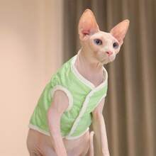 Dog Quilted Vest Jacket Contrast Color Warm Cat Coat Winter Clothes For Cold Weather Pet Apparel For Small Dogs - Green - View 3