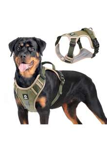 1 Set Brustgeschirr + Leine für Haustiere, reflektierendes Brustgeschirr-Weste für große Hunde, Spazierenleine, Kausprutz- und Nicht-Würge-Oxfordstoff-Material, Outdoor-Haustierzubehör