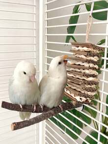 1 件手工鹦鹉玩具，纸壳，玉米壳，编织，咀嚼，绳子，牡丹，凤凰，虎皮图案，无聊救济，鸟笼挂饰（所有配件颜色随机组装） - 彩色 - 查看 6