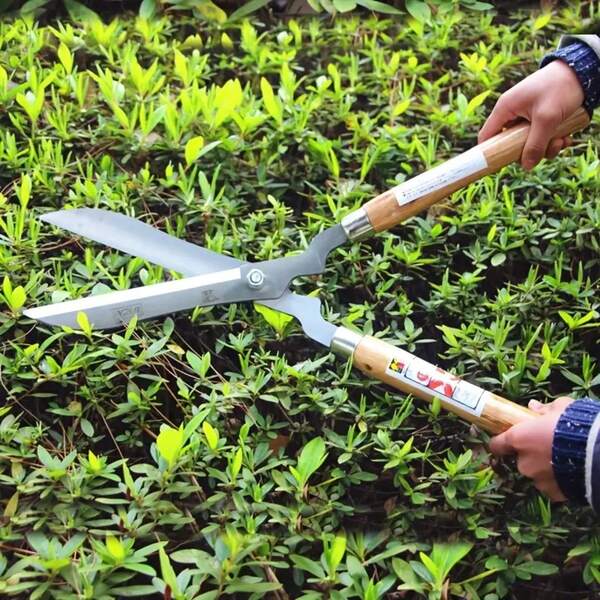 1 把 20 英寸木柄绿色绿篱剪，专业园艺修枝剪，长柄灌木修剪器，适用于粗枝，可用于绿篱、灌木和花园，轻便的灌木修剪工具，阿拉伯园艺必备，斋月花园准备工具，园艺工具，男士工具 [颜色随机]