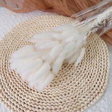 60/120件波西米亚风悬挂装饰品，蒲苇草和兔尾草干花花束，适用于婚礼、家庭聚会、DIY布置、丰收节、万圣节、圣诞节、秋季装饰