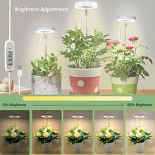 全光谱 LED 植物生长灯，室内植物 LED 生长灯，可调节植物生长照明，带 3 档定时器，全光谱，7 个亮度等级，USB 供电，非常适合幼苗和小型植物，室内植物生长灯