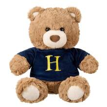 名创优品哈利波特系列10号卫衣，格兰芬多熊毛绒玩具，可爱卡通毛绒玩具，家居沙发装饰，节日/生日礼物，26厘米/10.23英寸 - 藍色 - 查看 6