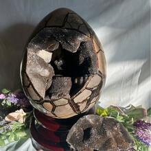 Black Turtle Shell Stone Egg Crystal Stone(Rock Crystal Has Natural Cracks, Not Damage. - Multicolor - View 4