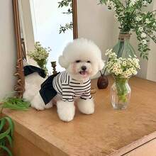 宠物狗猫条纹T恤连衣裙，休闲舒适防脱毛浪漫装，适合贵宾犬、约克夏犬、比熊犬，适合春夏季 - 彩色 - 查看 7