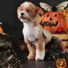 Disfraz de Halloween para perro, ropa de mascota con forma de araña, traje gracioso para cachorros, atuendo con alas de araña para fiesta, ropa navideña para perros