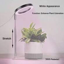 全光谱 LED 植物生长灯，室内植物 LED 生长灯，可调节植物生长照明，带 3 档定时器，全光谱，7 个亮度等级，USB 供电，非常适合幼苗和小型植物，室内植物生长灯