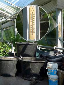 A Log Thermometer, High Precision, Battery-Free, Simple And Convenient, Suitable For Office, Classroom, Living Room, Bedroom, Farm Shed, Wall-Mounted Thermometer