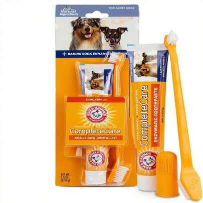 Arm &Amp; Hammer Dog Dental Kit - Enzymatic Dog Toothpaste 25 Oz