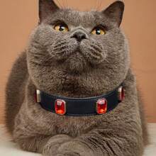 宠物狗项圈、猫项圈、带宝石的黑色 PU 皮革项圈、合金锌针钩、5 孔可调节、黑色狗项圈。 - 棕色 - 查看 2