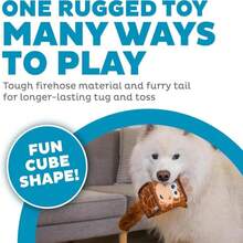 Outward Hound Fire Biterz Turtle Plush Firehose Material Interactive Dog Toy, Medium - MàuA - Xem 2