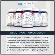 Nootropics Depot Agmatine Sulfate Capsules | 250mg | 240 Count | Energy Supplement | Amino Acid Derivative | Supports Physical Strength And Workout Recovery | Nitric Oxide Booster - Tên hương vịA - Xem 3