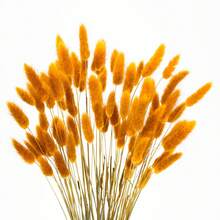 60/120/240 pièces Arrangements de fleurs artificielles avec herbe de pampa séchée naturelle et fleurs de pissenlit, convient pour la décoration de la maison, du mariage, du bureau et du café. Idéal comme cadeau pour la Saint-Valentin et la Fête des Mères.