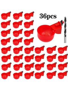 Bekalan Haiwan Peliharaan