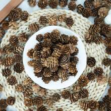 10/30/50/100pcs Natural Pine Cones, For Christmas Decoration, Essential Oil Soap DIY, Small Christmas Tree Decor, Etc.