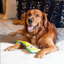 Outward Hound Fire Biterz Turtle Plush Firehose Material Interactive Dog Toy, Medium - ColorF - 查看 5