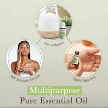 Pranarom USDA Certified Organic Rosemary Cineole Essential Oil (5ml), 100% Pure Undiluted Therapeutic Grade From Tunisia For Aromatherapy, Diffuser, Meditation, Massage, Relaxation - Flavor NameN - 查看 4