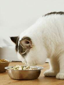 1pc/2pcs Stainless Steel Cat/Dog Bowl, Pet Feeding Bowl, Anti-Slip Anti-Bite Durable