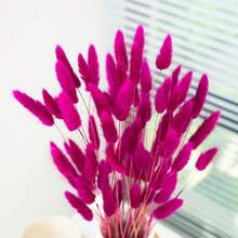 60/120/240 pièces Arrangements de fleurs artificielles avec herbe de pampa séchée naturelle et fleurs de pissenlit, convient pour la décoration de la maison, du mariage, du bureau et du café. Idéal comme cadeau pour la Saint-Valentin et la Fête des Mères.
