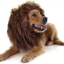 1pc Adjustable Polyester Fiber Lion Mane Wig Pet Costume, Suitable For Medium And Large Dogs, Christmas Holiday Gift Accessory, Dog Costume | Dog Wig | Fluffy Dog Outfit