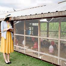 透明防水篷布 - 带加强型索环和防撕裂拉绳，防风、防尘、防水、防雪，适用于花园雨罩、庭院围栏、露营帐篷、门廊遮阳篷，非常适合露台、花园、猪圈和露营 - 透明 - 查看 9