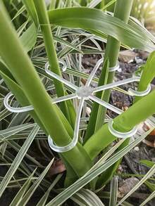 8个/4件装植物支架，坚固的攀援植物茎夹，藤蔓固定器，室内花茎固定器，塑料园艺工具，适用于攀援植物，可用于露营/婚礼/花园装饰/卧室装饰/房间装饰/家居装饰/秋季装饰/情人节/复活节 - 彩色 - 查看 5