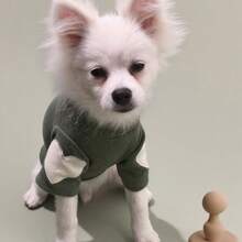 Dark Green Turtleneck Dog Clothes With Heart-Shaped Patches, Suitable For Small Dogs Daily Wear, Pets, Cats, Dogs, Dog Clothes, Puppies, Chihuahua Dog Clothes, Kitten Supplies