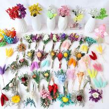 2/6/12 Piezas Ramo de flores secas mini, decoración navideña, caja de regalo para propuesta a dama de honor, centros de mesa para boda bohemia, pequeñas flores secas de pampa para decorar jarrones, flores secas diminutas para decorar tartas de cumpleaños