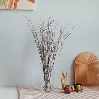 天然干桦树枝装饰，软装饰家居装饰，花瓶填充物，客厅插花，禅宗风格，复活节，圣诞节