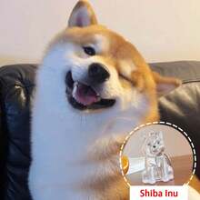 1pc Souvenirs, New Pet Hair Souvenirs Keychain