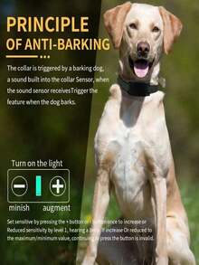 USB Rechargeable Automatic Anti-Bark Dog Collar, Waterproof Anti-Barking Training Collar, Control Collar, Smart Bark Stopper, Pet Supplies, Suitable For Small & Medium Dogs, All Breeds, Black