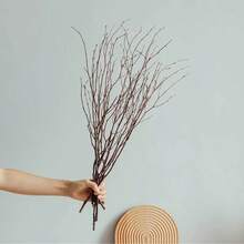 Galhos Secos Naturais de Bétula, Decoração, Acessórios Macios para Casa, Encher Vasos, Arranjo Floral para Sala de Estar, Estilo Zen, Páscoa, Natal