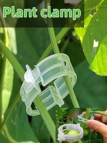 20/50/200 PIEZAS Clips de soporte para plantas para envolver enredaderas, colgar plantas y fijar nudos - Clips para plantas verdes, clips para fijar enredaderas, dispositivos de fijación para pimientos y berenjenas, abrazaderas para plantas para el manejo y fijación de verduras, frutas y flores, evitando el inclinado, herramientas hortícolas