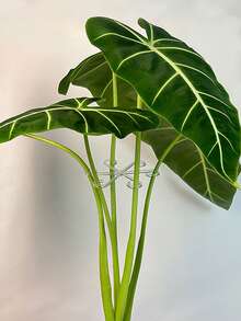 8个/4件装植物支架，坚固的攀援植物茎夹，藤蔓固定器，室内花茎固定器，塑料园艺工具，适用于攀援植物，可用于露营/婚礼/花园装饰/卧室装饰/房间装饰/家居装饰/秋季装饰/情人节/复活节 - 彩色 - 查看 7