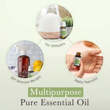 Pranarom USDA Certified Organic Rosemary Cineole Essential Oil (5ml), 100% Pure Undiluted Therapeutic Grade From Tunisia For Aromatherapy, Diffuser, Meditation, Massage, Relaxation - Tên hương vịL - Xem 4