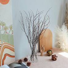 Galhos Secos Naturais de Bétula, Decoração, Acessórios Macios para Casa, Encher Vasos, Arranjo Floral para Sala de Estar, Estilo Zen, Páscoa, Natal