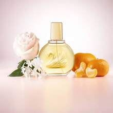 Vanderbilt Perfume - 100 ml - View 4