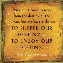 The Four Agreements Self-Help Book | Practical Guide To Personal Freedom & Inner Peace | Toltec Wisdom For Daily Habits, Emotional Intelligence & Life Transformation | Mindset Growth, Stress Relief & Positive Living | Perfect Gift For Adults, Teens & Self Improvement Readers - 平裝本 - 查看 7