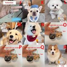 1pc Souvenirs, New Pet Hair Souvenirs Keychain
