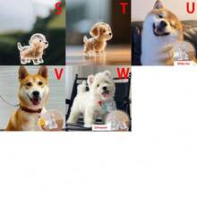 1pc Souvenirs, New Pet Hair Souvenirs Keychain