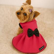 Roupa Pet Inverno, Escolha Estampa, Roupinha Soft, Cachorro e Gato