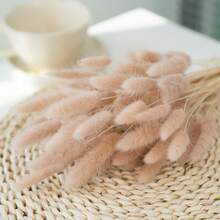 60/120/240 pièces Arrangements de fleurs artificielles avec herbe de pampa séchée naturelle et fleurs de pissenlit, convient pour la décoration de la maison, du mariage, du bureau et du café. Idéal comme cadeau pour la Saint-Valentin et la Fête des Mères.