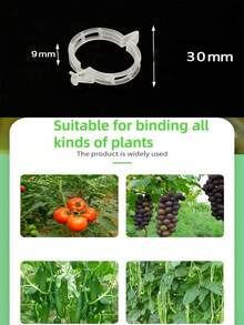 20/50/200 PIEZAS Clips de soporte para plantas para envolver enredaderas, colgar plantas y fijar nudos - Clips para plantas verdes, clips para fijar enredaderas, dispositivos de fijación para pimientos y berenjenas, abrazaderas para plantas para el manejo y fijación de verduras, frutas y flores, evitando el inclinado, herramientas hortícolas