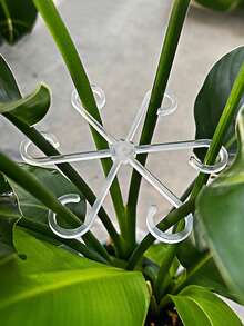 8个/4件装植物支架，坚固的攀援植物茎夹，藤蔓固定器，室内花茎固定器，塑料园艺工具，适用于攀援植物，可用于露营/婚礼/花园装饰/卧室装饰/房间装饰/家居装饰/秋季装饰/情人节/复活节 - 彩色 - 查看 3