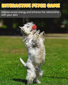 Juguetes chirriantes para perros SCHITEC, paquete de 6 pelotas chirriantes interactivas de látex: juguetes suaves para buscar cachorros y perros pequeños - color - Ver 6