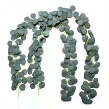 78.7 英寸人造桉树花环绿植仿花环散装银元桉树叶藤蔓植物适用于家居餐桌派对婚礼拱门墙壁花园室内外装饰 - 綠色 - 查看 13