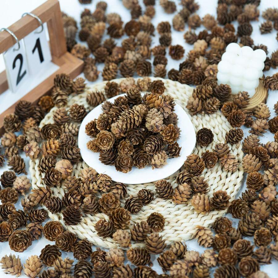 10/30/50/100pcs Natural Pine Cones, For Christmas Decoration, Essential Oil Soap DIY, Small Christmas Tree Decor, Etc.