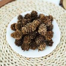 10/30/50/100pcs Natural Pine Cones, For Christmas Decoration, Essential Oil Soap DIY, Small Christmas Tree Decor, Etc.